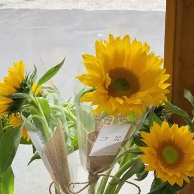 南瓜头纸杯蛋糕